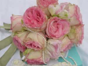 pink-roses