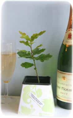 Wedding Tree Favours