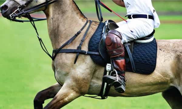 Discover Polo, the Argentine Way