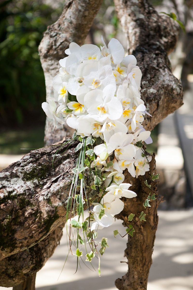 White orchids hand bouquet