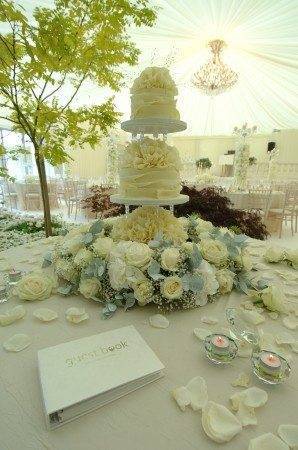 A Stunning White Wedding Theme by The Talyor Lynn Corporation