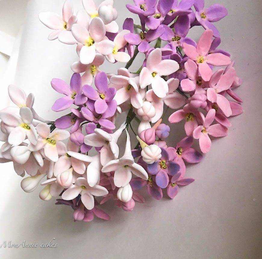 Sugar Flowers-Lilacs