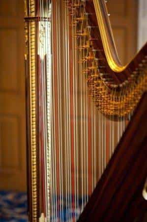 Aisling Ennis Wedding Hapist Wedding Hapist