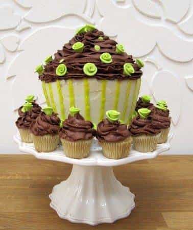 Giant Cupcakes Giant Cupcakes