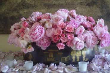Robbie Honey gives us the low down on the latest floral trends!