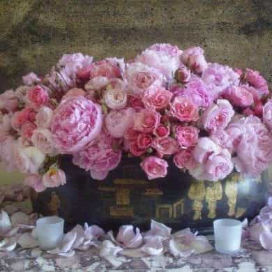 Robbie Honey gives us the low down on the latest floral trends!