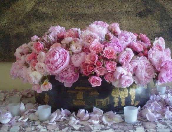 Robbie Honey gives us the low down on the latest floral trends!