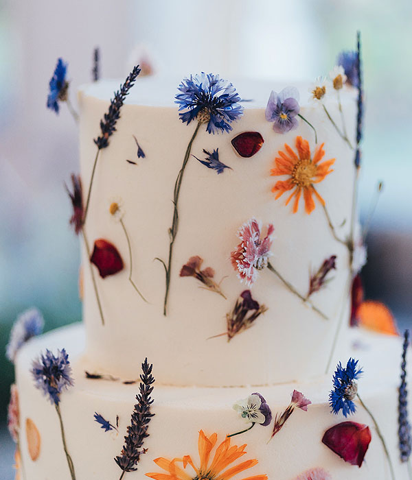 Le Papillon Cakes by Neil Thornton: