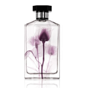 Be Inspired This Summer With Sheer Stella