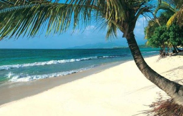 Grand Anse Beach palm Luxury Weddings Granada
