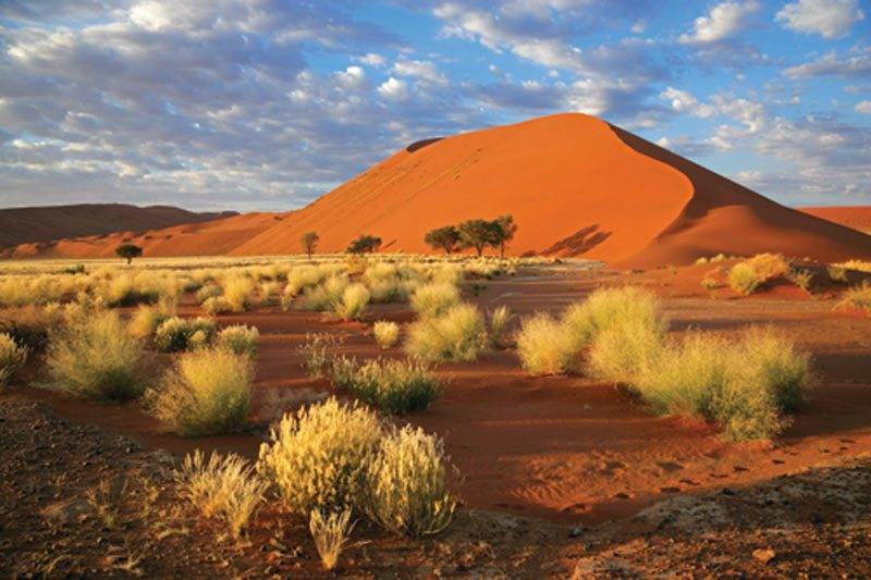 Sossuvlei Namibia Sossuvlei Namibia