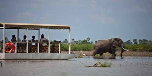 Luxury Honeymoons In Africa Luxury Honeymoons In Africa