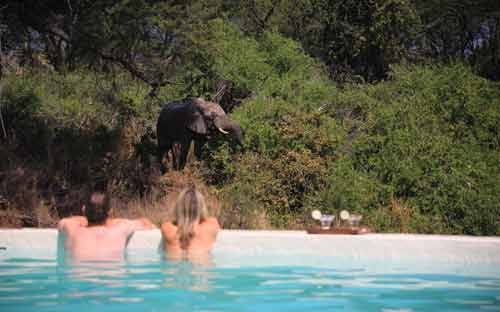 Luxury African Honeymoons Honeymoons