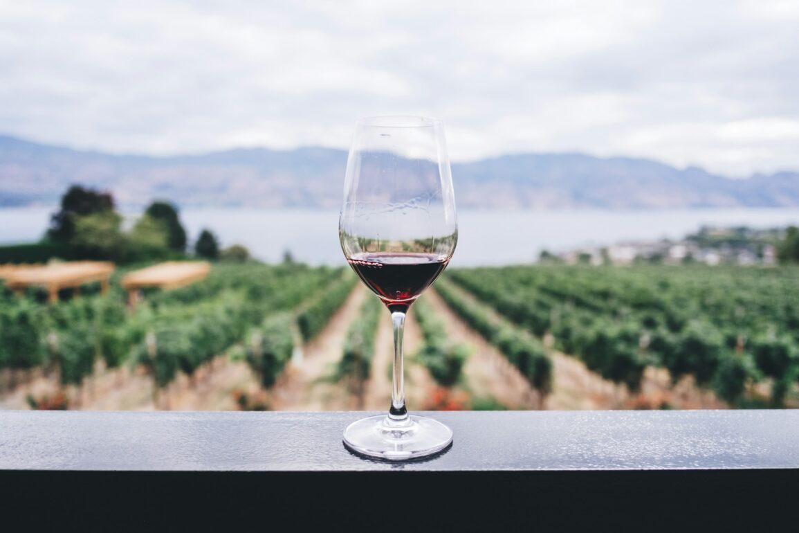 Glass of red wine overlooking vineyard and lake