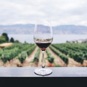 Glass of red wine overlooking vineyard and lake