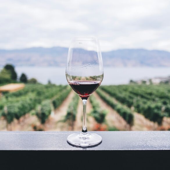 Glass of red wine overlooking vineyard and lake