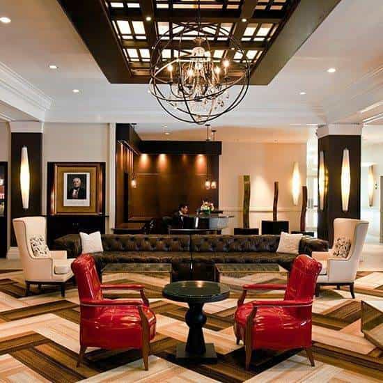 Hilton Curio