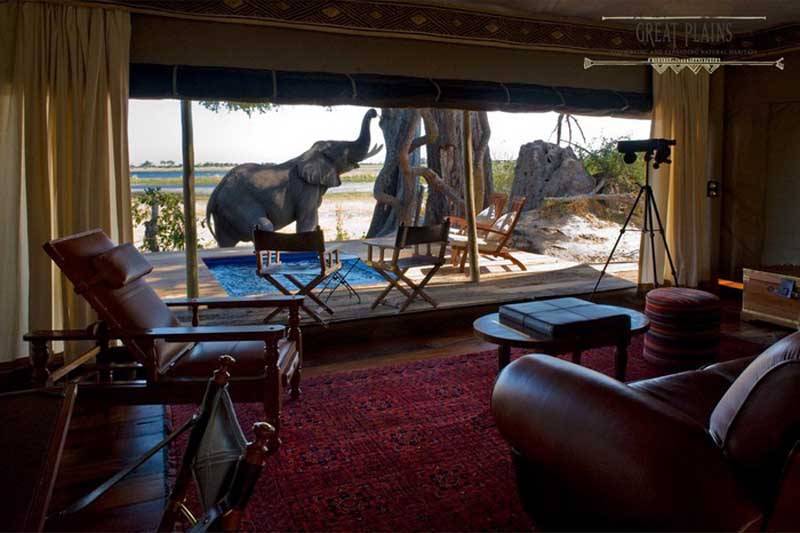Honeymoons in Africa Honeymoons in Africa