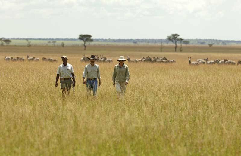 Safari Honeymoon Africa Safari Honeymoon Africa