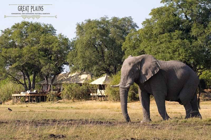 Luxury Honeymoons Africa Luxury Honeymoons Africa