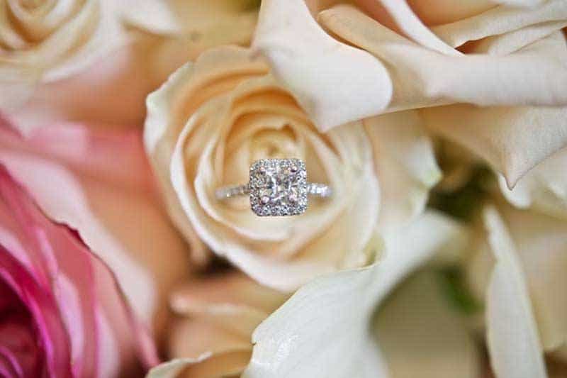Pink Roses