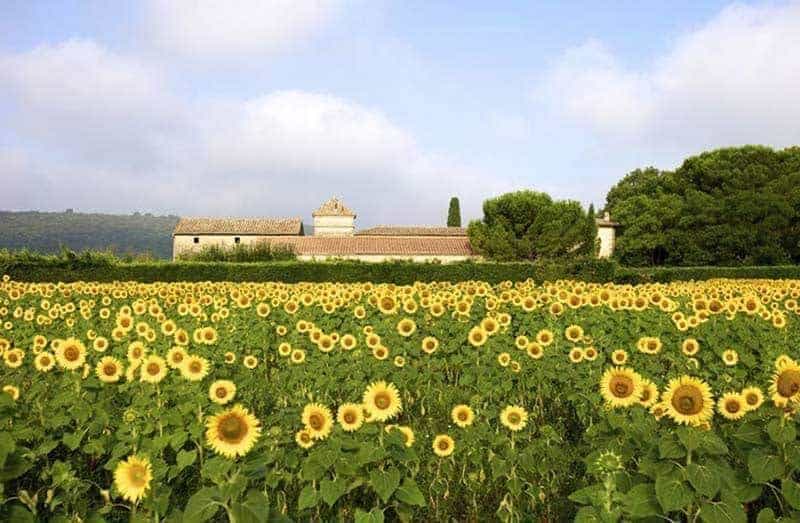 Weddings In Provence