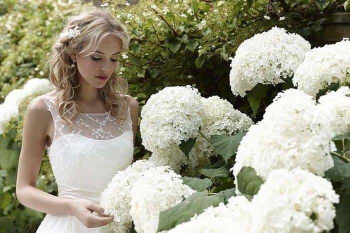 Sassi Holford 2015
