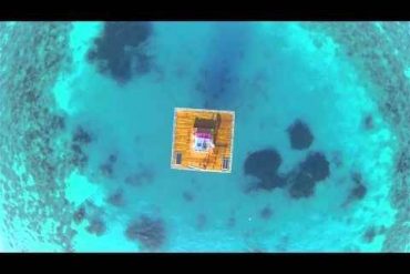 Sleeping With Fish – A Honeymoon Suite To Remember