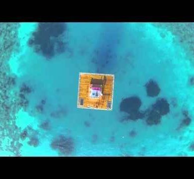 Sleeping With Fish – A Honeymoon Suite To Remember