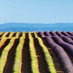 Secret Romantic Places In Provence