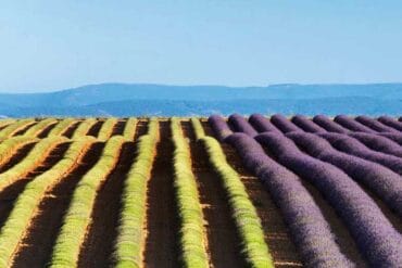 Secret Romantic Places In Provence