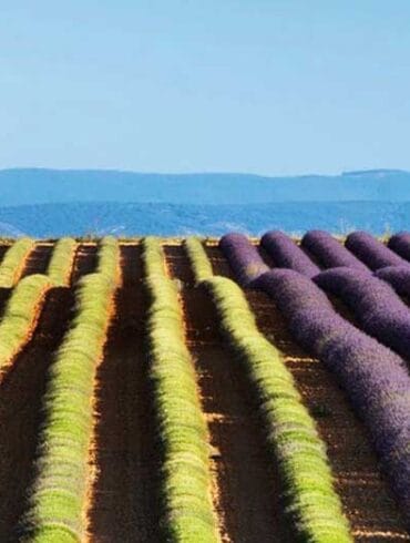 Secret Romantic Places In Provence