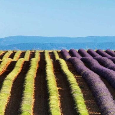 Secret Romantic Places In Provence