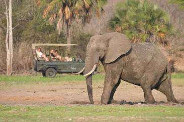 The Safari Calendar Of Southern Tanzania