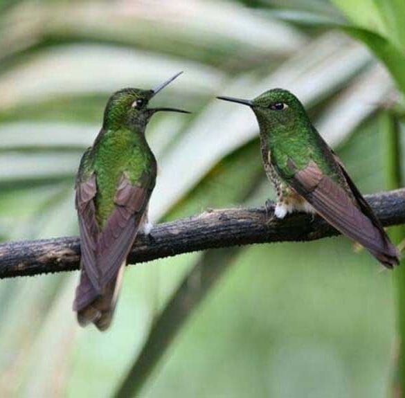 Destination Wedding: Ecuador