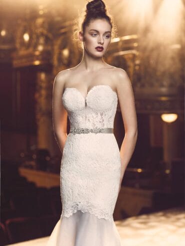 Paloma Blanca And Mikaella Bridal Luxurious 2016 Collections