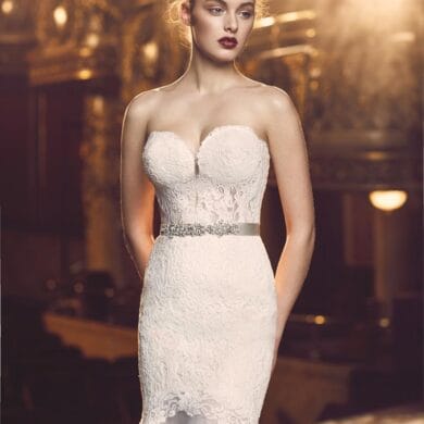 Paloma Blanca And Mikaella Bridal Luxurious 2016 Collections