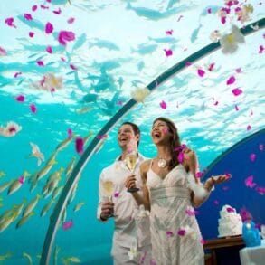 Underwater Weddings at Conrad Maldives Rangali Island