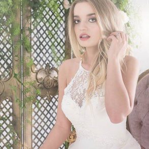 The Untamed Love Collection