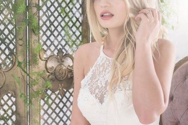 The Untamed Love Collection