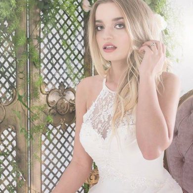 The Untamed Love Collection