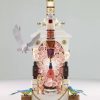 Gorgeous New Range of Luxury Beauty Products