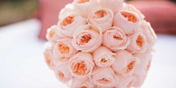 Floral Trends For 2015