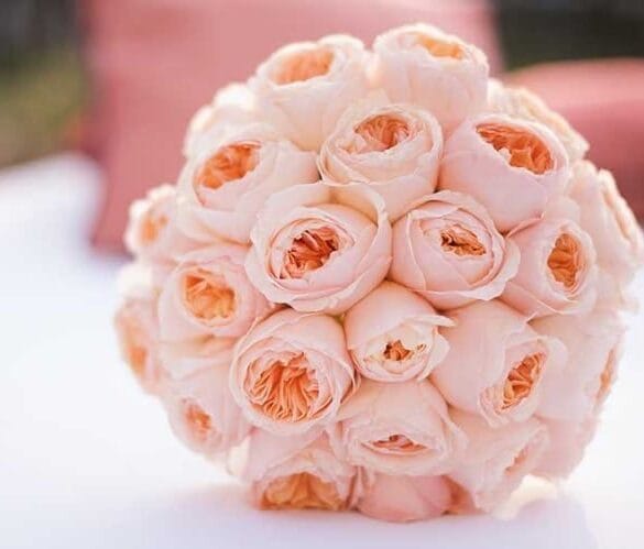 Floral Trends For 2015