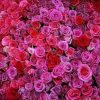 Summer Wedding Flower Trends