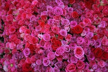 Summer Wedding Flower Trends