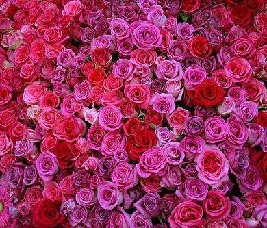 Summer Wedding Flower Trends