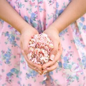 2016 Spring Confetti Colour Trends