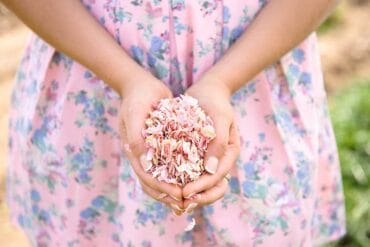 2016 Spring Confetti Colour Trends