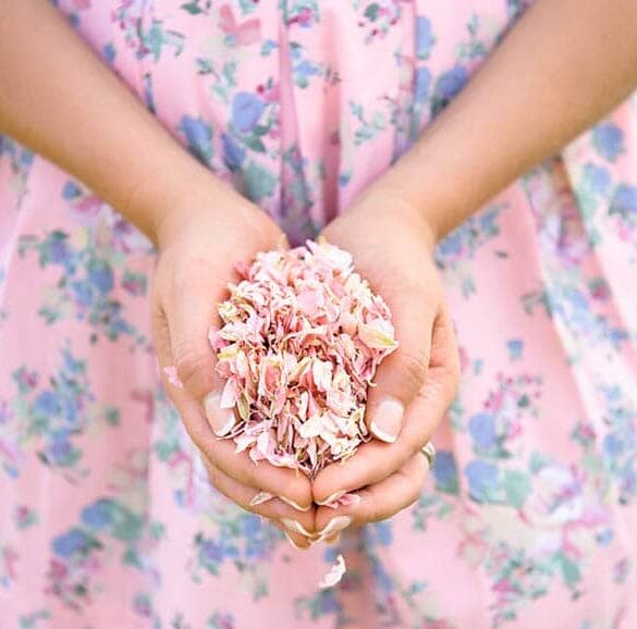 2016 Spring Confetti Colour Trends